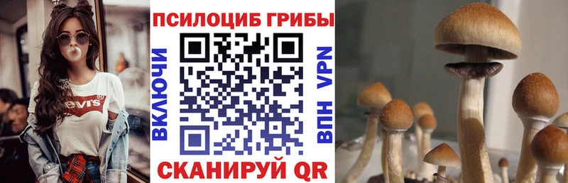Галлюциногенные грибы GOLDEN TEACHER  Купить  Берёзовка 